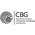Logo CBG grey