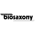 Logo biosaxony grey